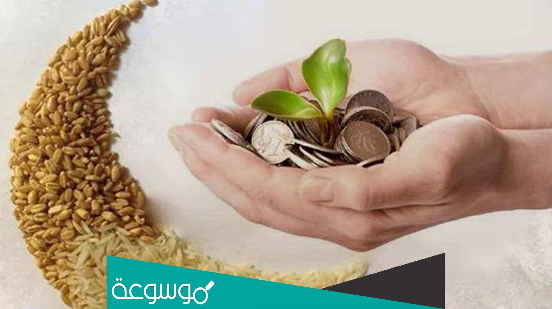 طريقة تقديم زكاة الفطر نقدا او طعاما 1443