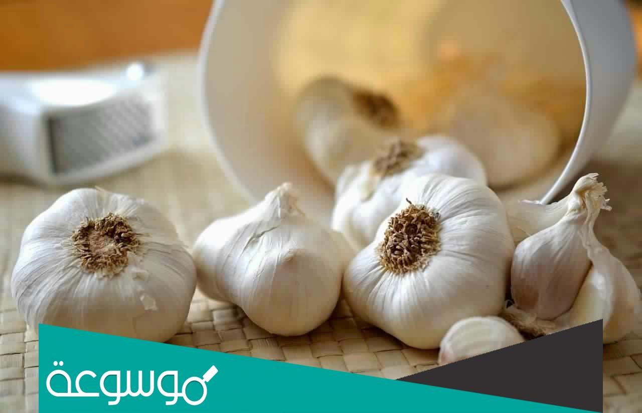 طريقة عمل خل الثوم .. وأبرز فوائده العظيمة