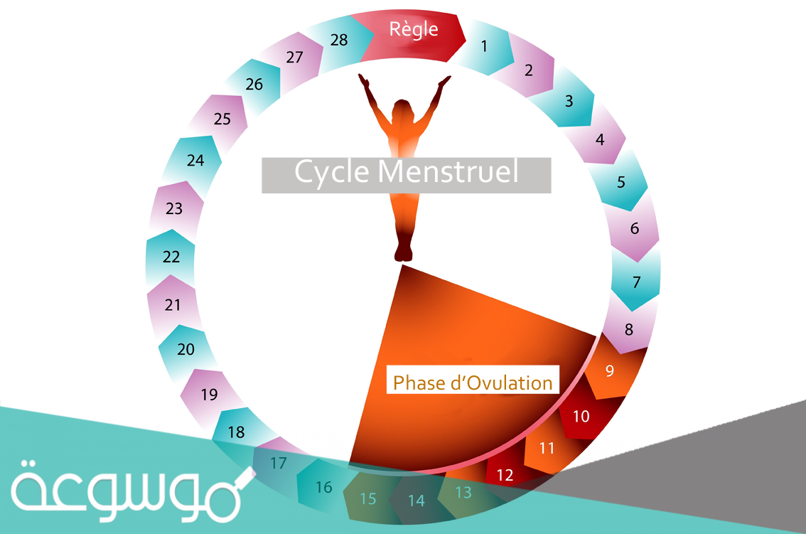 عادات يجب ان تتجنبها المرأة أثناء الدورة الشهرية