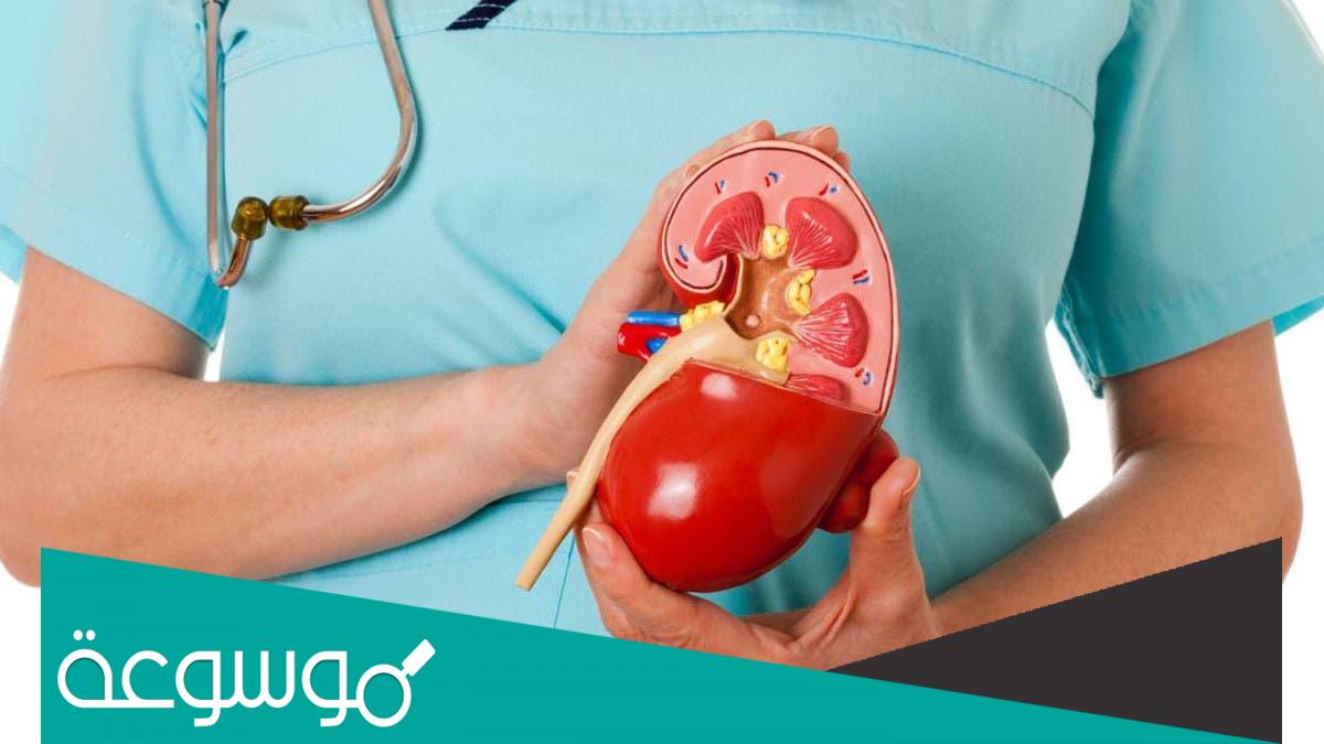 علامات و أعراض مبكرة تنبئ بسرطان الكلى