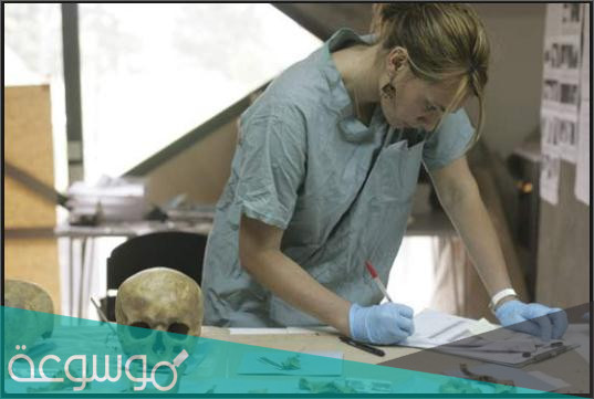 علم الأنثروبولوجيا Anthropology