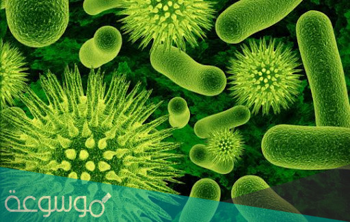 عمليات الحياة في المخلوقات الحية الدقيقة