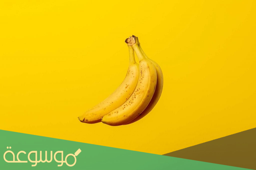 فاكهة تسمى بطعام الفلاسفة ؟.. ولماذا سميت بذلك