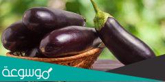 أهم فوائد الباذنجان للعناية بجمال المرأة 2022