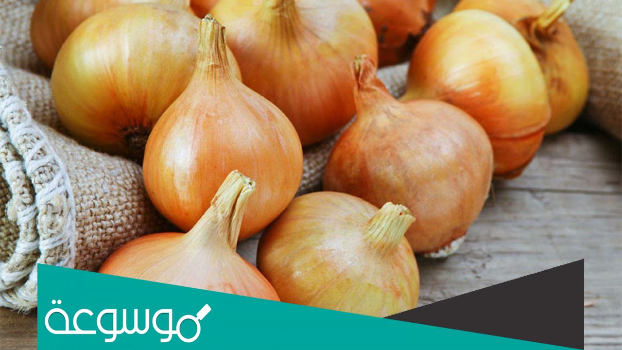 فوائد البصل الابيض للصحة والبشرة