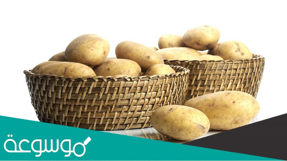 فوائد البطاطس وهل هي صحية