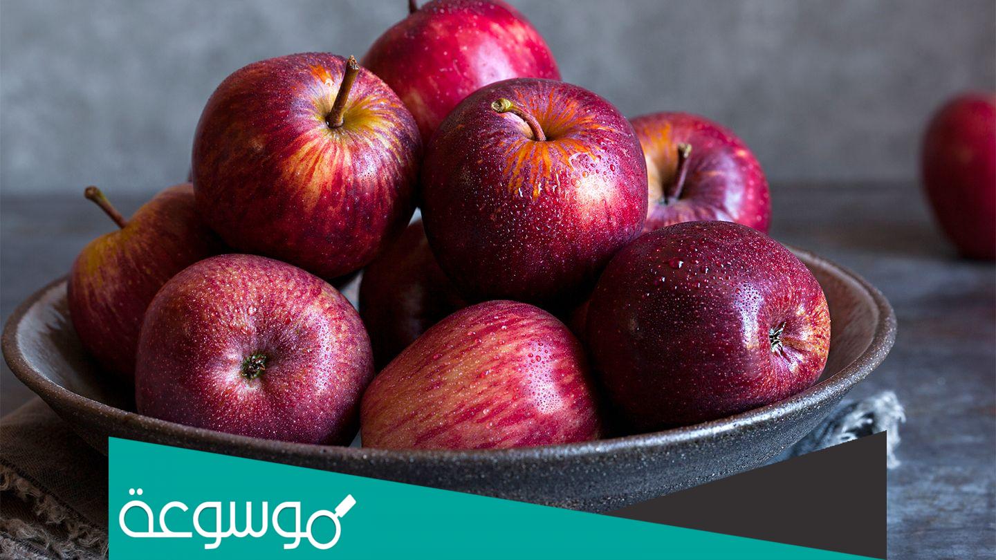 فوائد التفاح على الريق للحامل