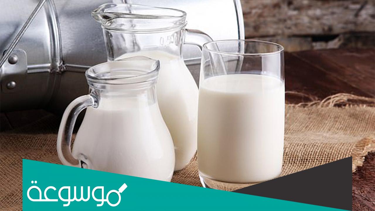 فوائد الحليب للجسم