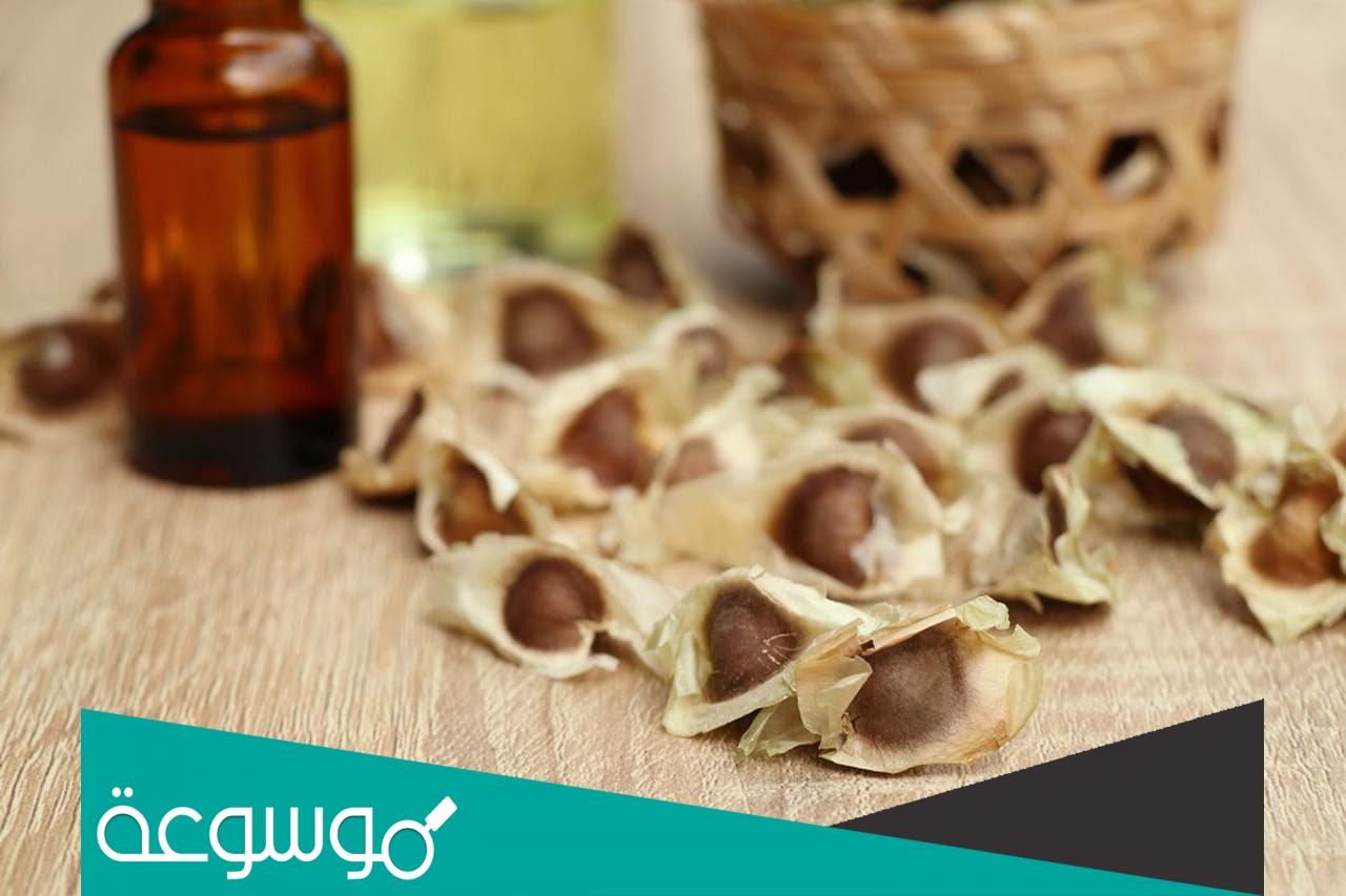 فوائد المورينجا للجنس تجارب مضمونه