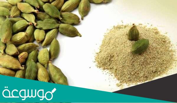 فوائد الهيل أو الحبهان للتخسيس