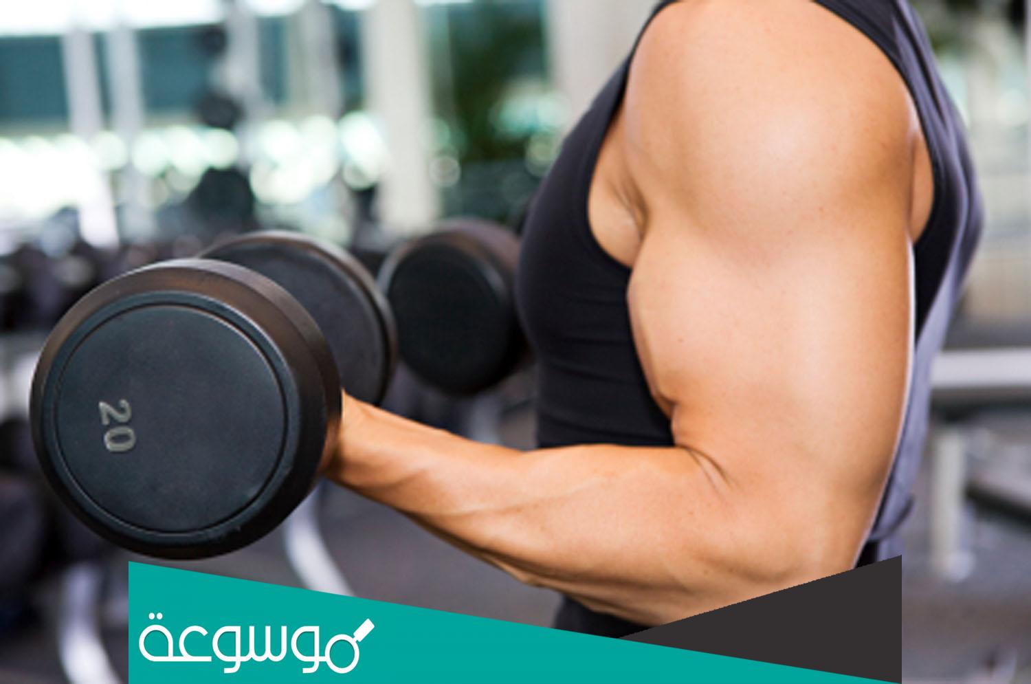 فوائد رفع الاثقال للرجال والنساء