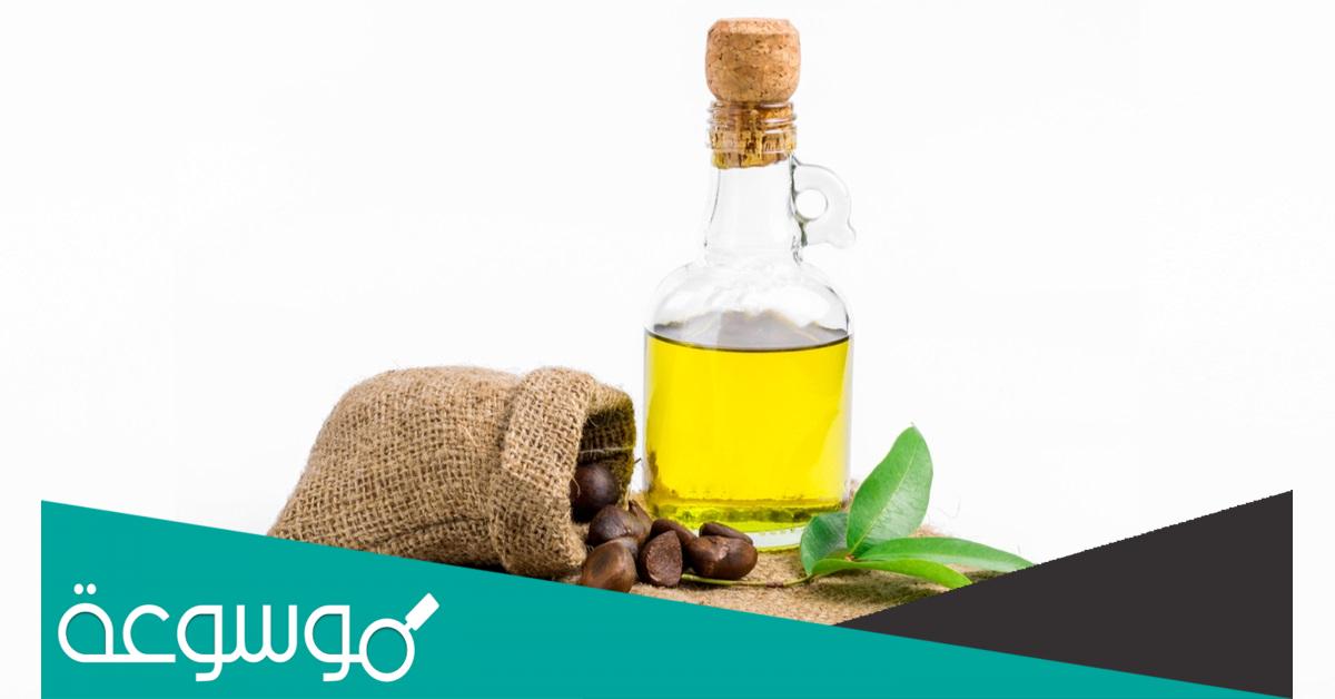 فوائد زيت الكاميليا ” Camellia oil “