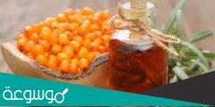 فوائد زيت نبق البحر ” Sea Buckthorn Oil “