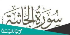 فضل قراءة سورة الجاثية