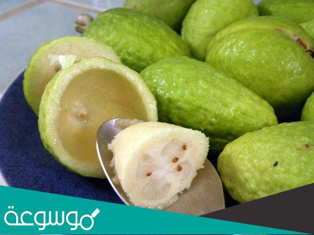 فوائد نبات فيجوه Pineapple Guava