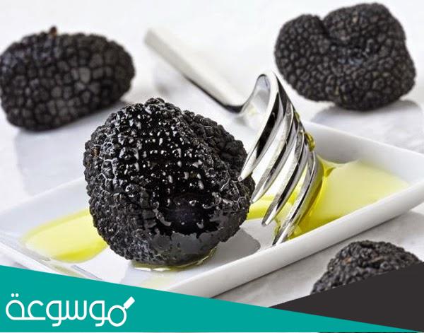 فوائد نبات وزيت الفقع المنتشر في الجزيرة العربية