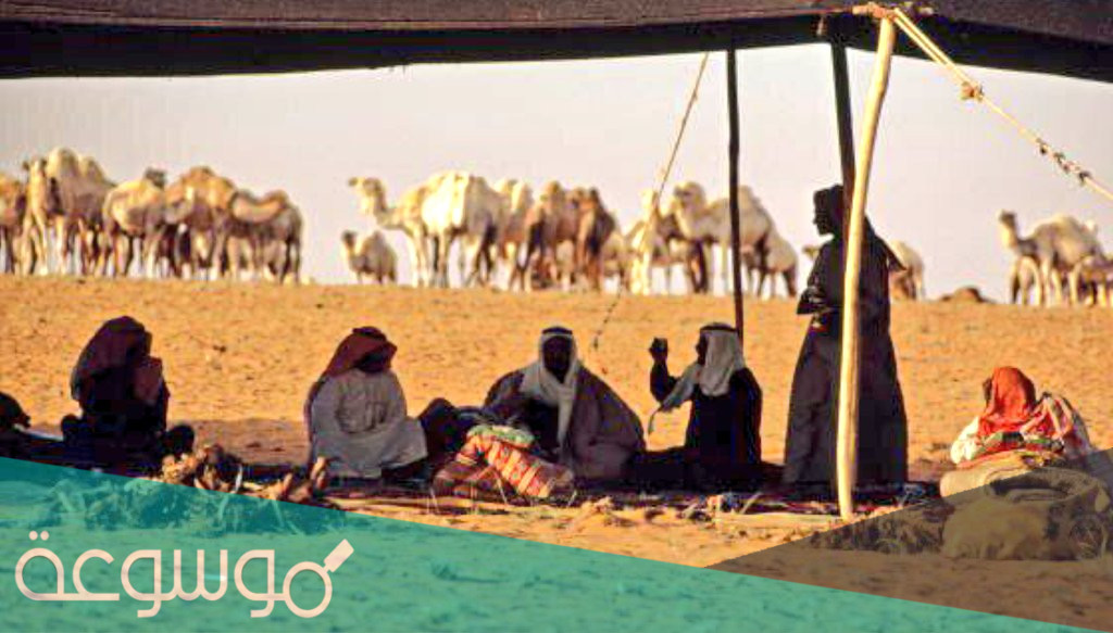 قبيلة الحارثي من وين