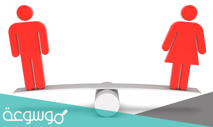 قرارا بإنشاء مجلس الإمارات للتوازن بين الجنسين