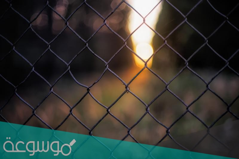 قصة أنهار الديك كاملة بالتفصيل