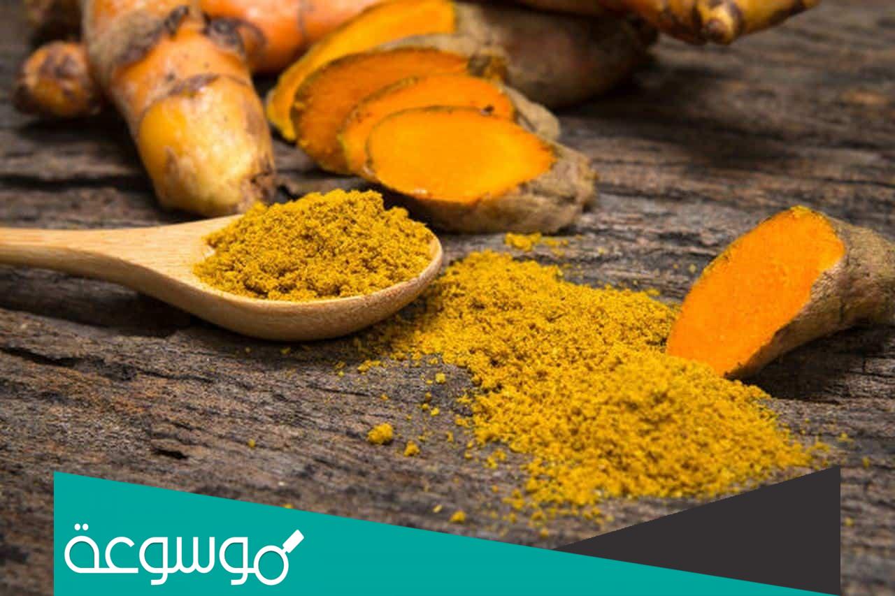تفسير رؤية كركم في المنام حسب تفسير ابن سيرين
