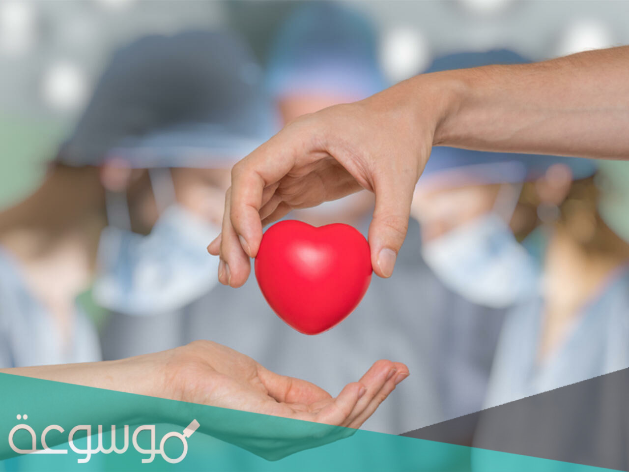 كلمات اغنية تاه قلبي لما لقاه