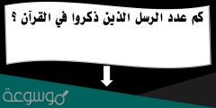 كم عدد الرسل المذكورين في القرآن