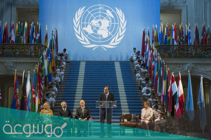 كيفية التطوع في الامم المتحدة