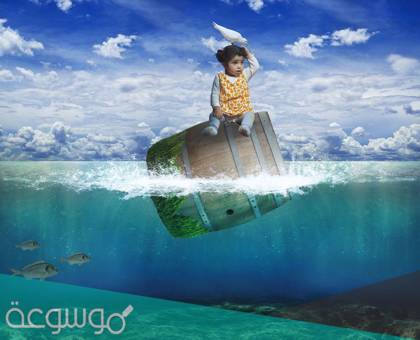 كيفية دمج صورتين بجانب بعض بالخطوات