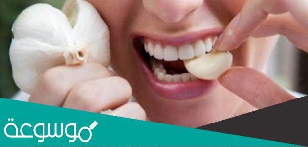 كيفية علاج ديدان المعدة بالثوم