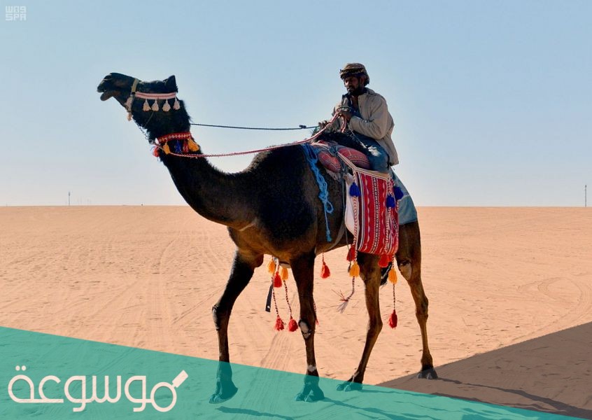 لغز شايب اعمى في وسط الصحراء