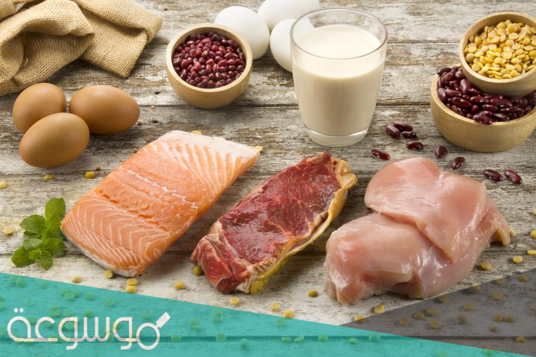 لماذا تعد البروتينات الحيوانية كاملة وذات قيمة غذائية