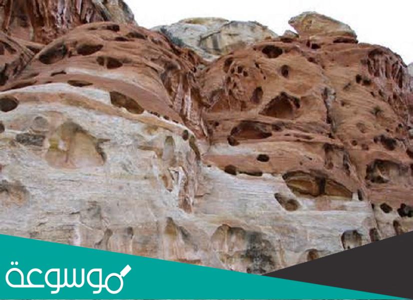 لماذا تكون التجوية الكيميائية سريعة في المناطق الاستوائية