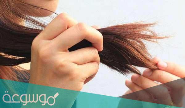 لماذا نقص اطراف الشعر