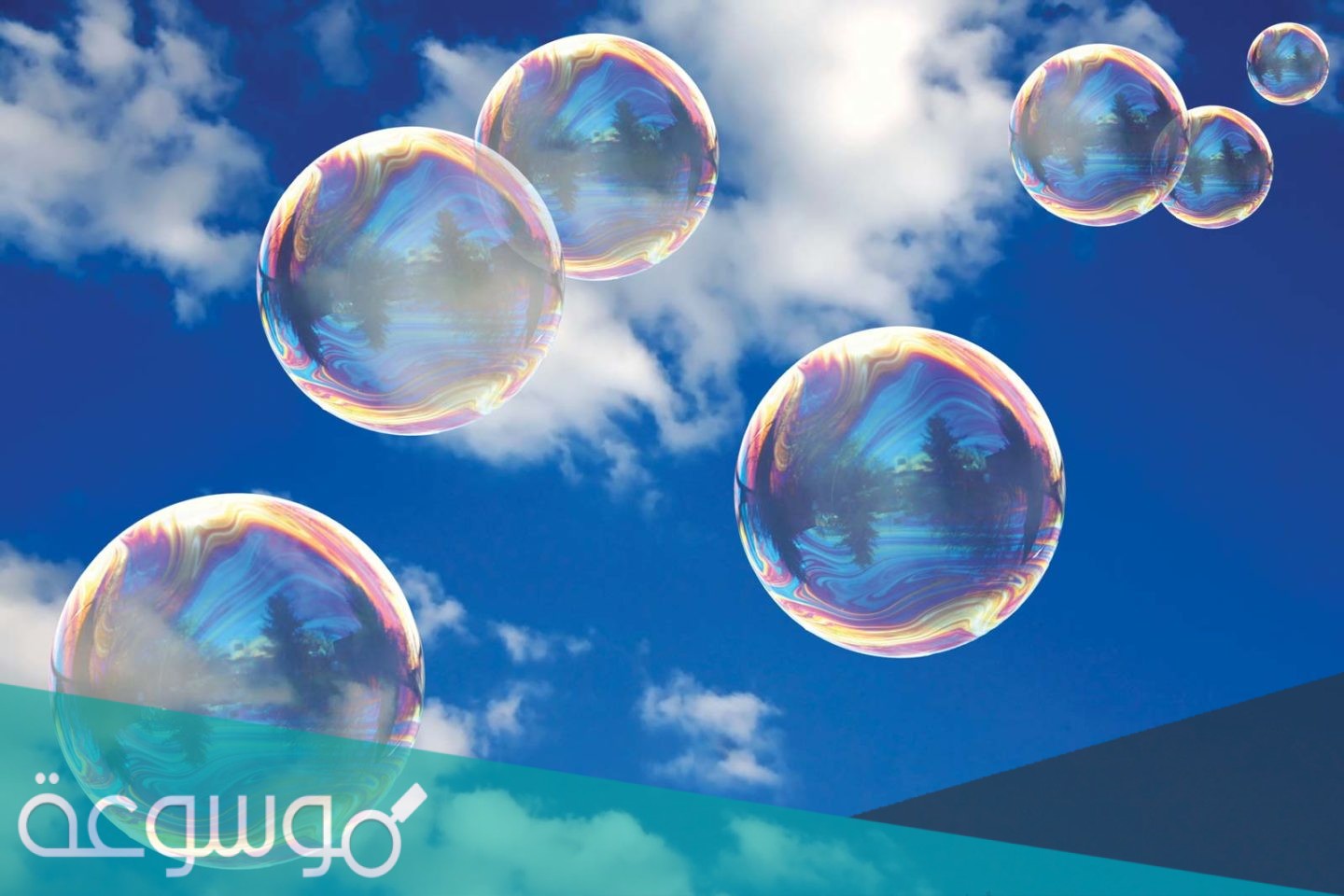 ما الخاصية التي تفسر طفو إبرة فوق سطح الماء