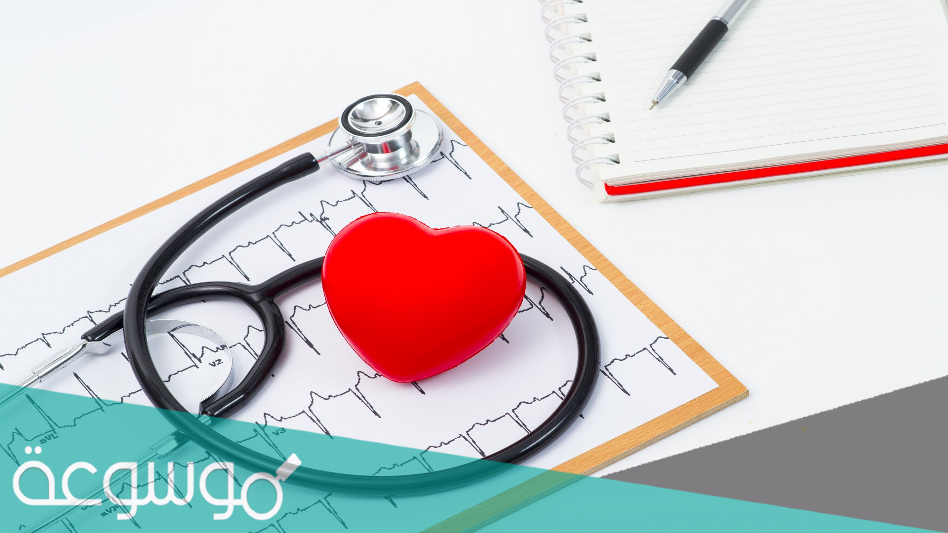 ما المقصود بدقات القلب