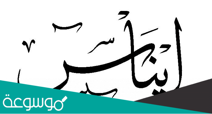 ما معنى اسم ايناس Enas