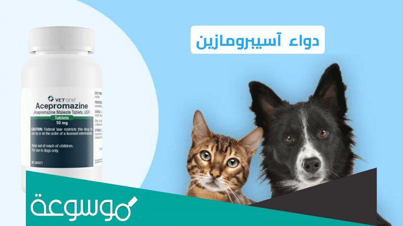 ما هو آسيبرومازين ؟ ” Acepromazine ” وهل يستخدم للحيوانات فقط