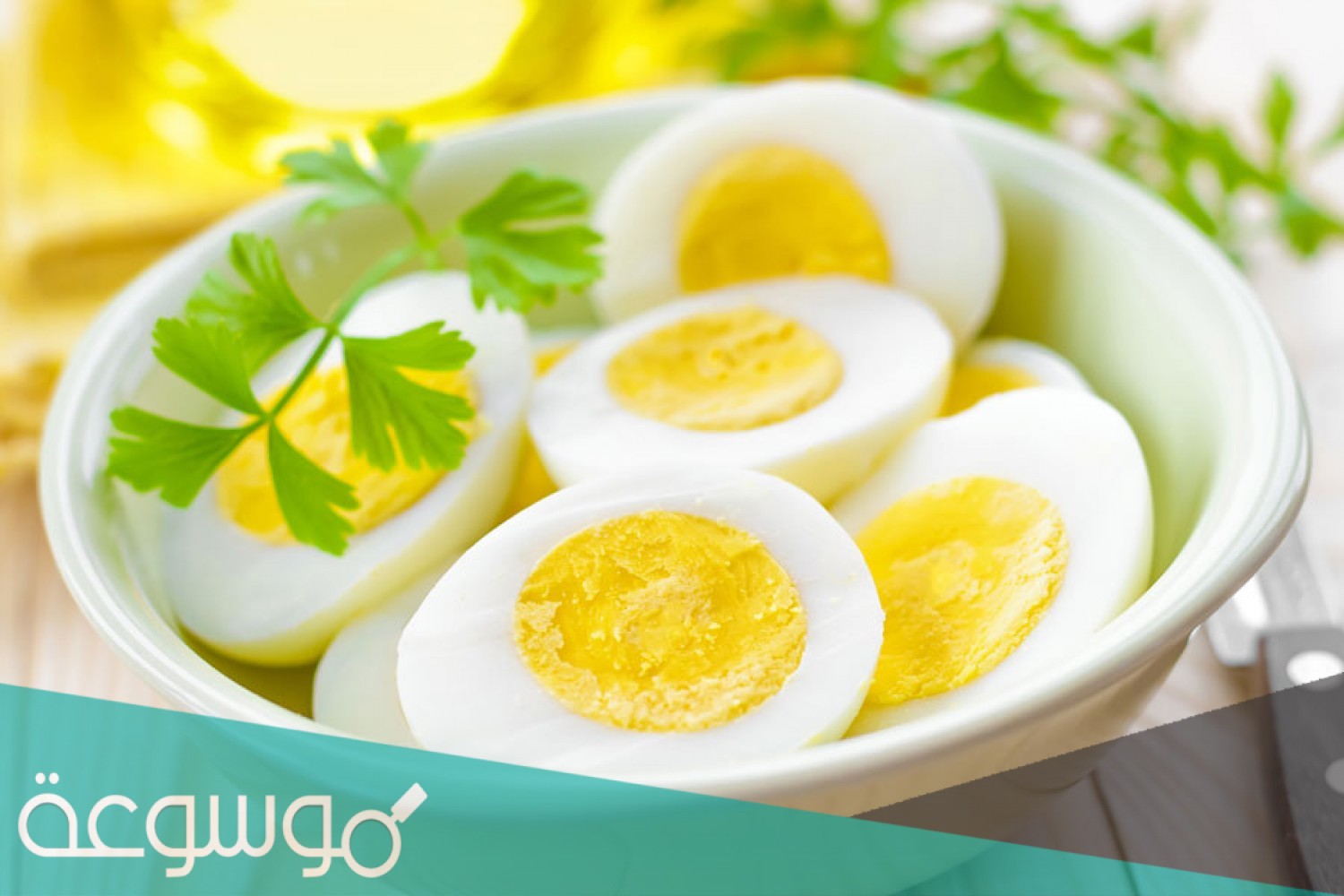 ما هو الفيتامين الذي لا يوجد في البيض