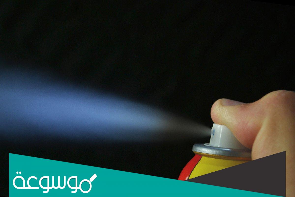 ما هو المبيد الذي يقضي على البق