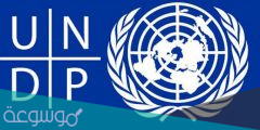 ما هو برنامج الأمم المتحدة الإنمائي UNDP