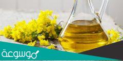 ما هو زيت الكانولا وفوائده