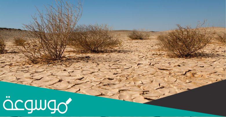 ما هي أهم مسببات التصحر