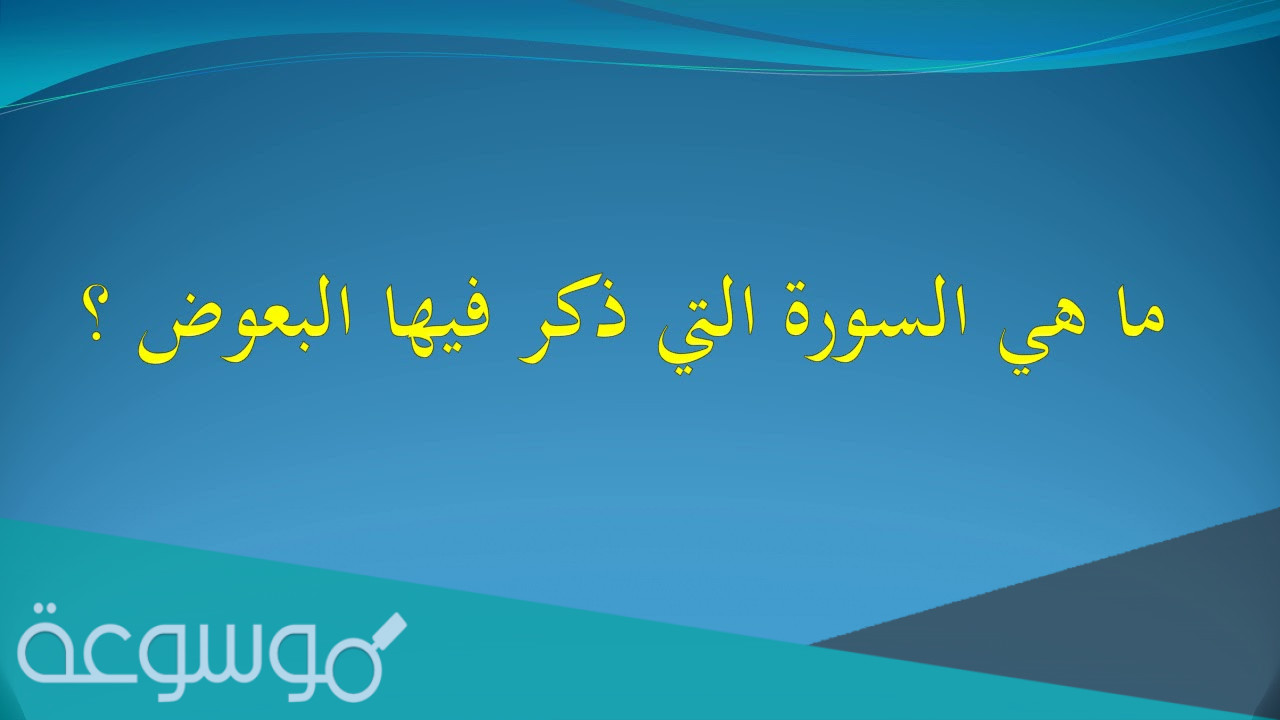 ما هي السورة التي ذكر فيها البعوض