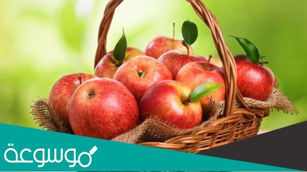 ما هي الفاكهة الرسمية لنيويورك وفوائدها