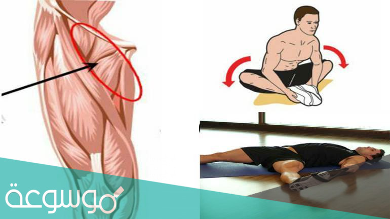 ما هي طرق علاج العضلة الضامة