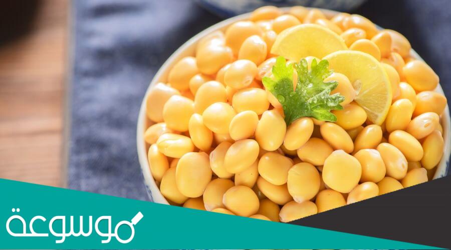 ما هي فوائد اكل الترمس