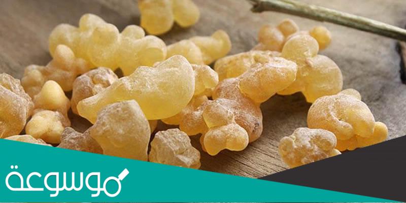 ما هي فوائد نبات الكندر