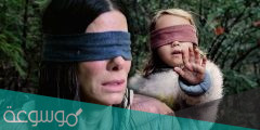 ما هي قصة فيلم bird box ويكيبيديا