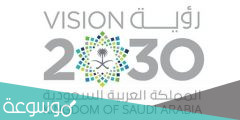 متى تم الاعلان عن رؤية المملكة 2030