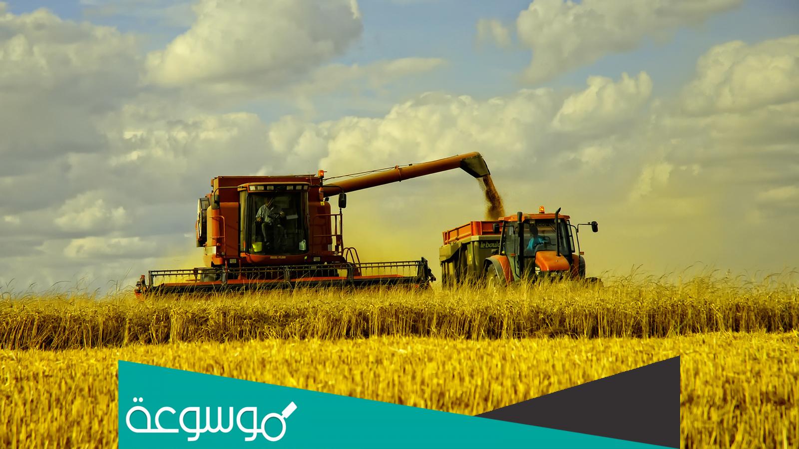 مدن زراعية في السعودية